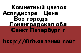 Комнатный цветок Аспидистра › Цена ­ 150 - Все города  »    . Ленинградская обл.,Санкт-Петербург г.